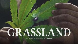مشاهدة فيلم اونلاين Grassland 2024 مترجم