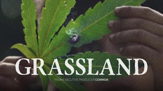مشاهدة فيلم اونلاين Grassland 2024 مترجم